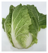 白菜