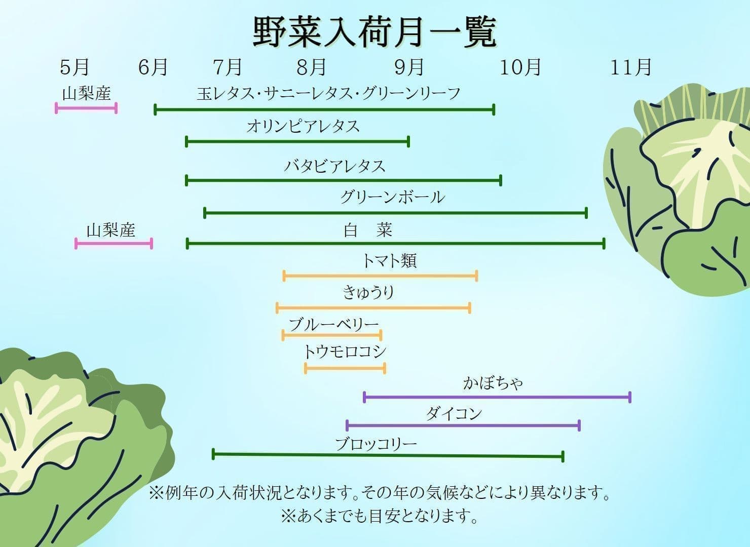 野菜入荷月一覧